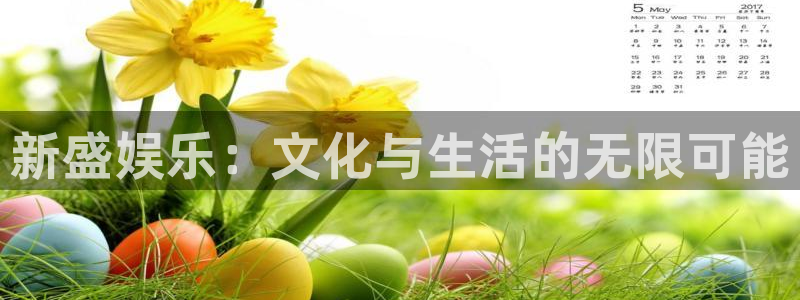 大满贯电子有限公司：新盛娱乐：文化与生活的无限可能