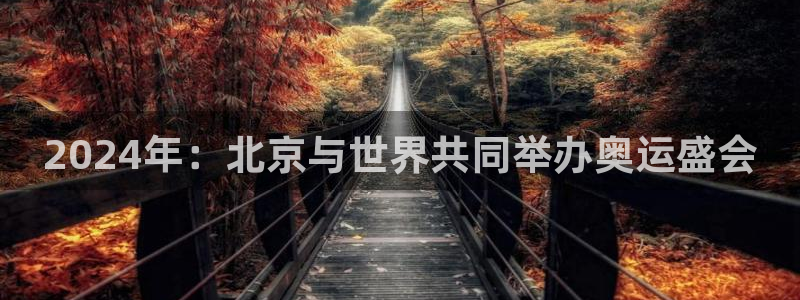 大满贯电子有限公司：2024年：北京与世界共同举办奥运盛会