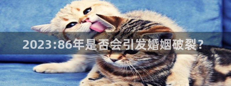 大满贯平台开户：2023:86年是否会引发婚姻破裂？