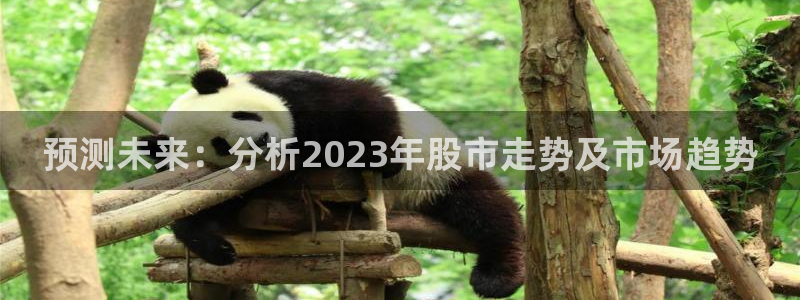 www.大满贯体育.com：预测未来：分析2023年股市走势及市场趋势