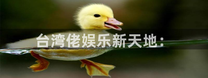 大满贯5招商：台湾佬娱乐新天地：