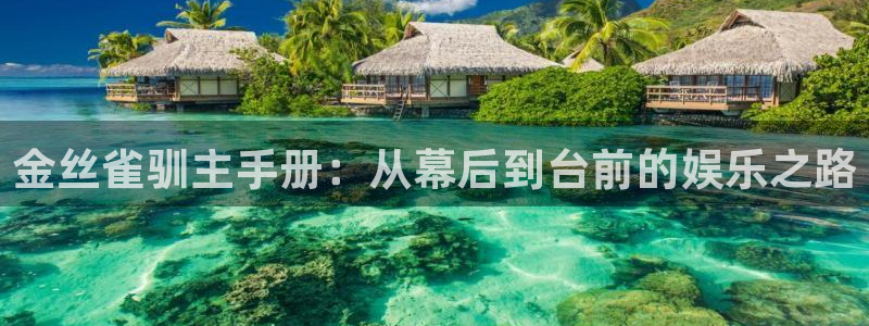 大满贯包怎么样：金丝雀驯主手册：从幕后到台前的娱乐之路