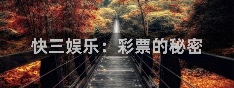 大满贯4注册：快三娱乐：彩票的秘密