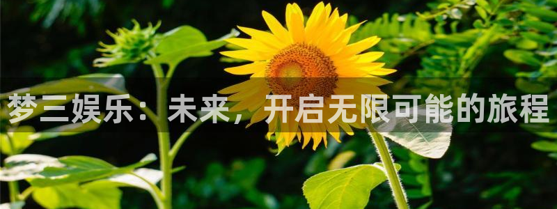 大满贯凯捷平台：梦三娱乐：未来，开启无限可能的旅程