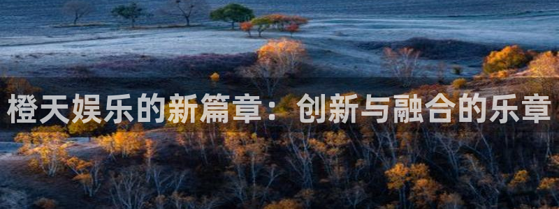 大满贯集团股票