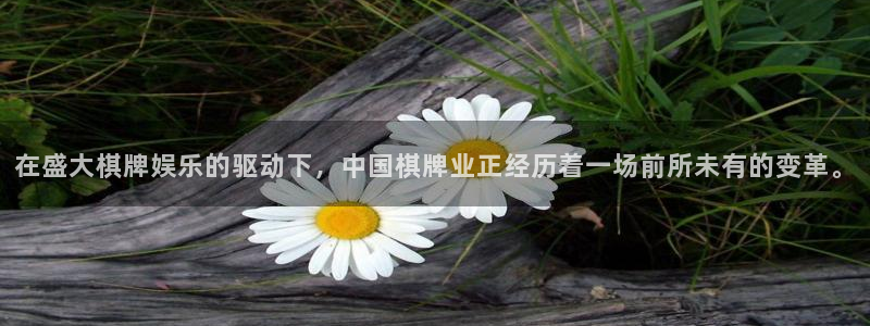 大满贯4代理：在盛大棋牌娱乐的驱动下，中国棋牌业正经历着一场前所未有的变革。