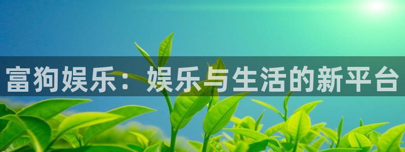 上海大满贯汽车电子有限公司：富狗娱乐：娱乐与生活的新平台