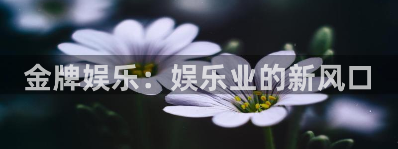 大满贯体育娱乐注册链接：金牌娱乐：娱乐业的新风口