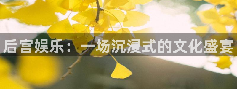 大满贯4官网：后宫娱乐：一场沉浸式的文化盛宴