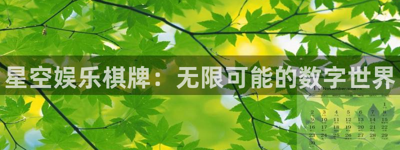 大满贯官网：星空娱乐棋牌：无限可能的数字世界