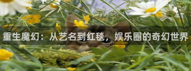 大满贯k：重生魔幻：从艺名到红毯，娱乐圈的奇幻世界