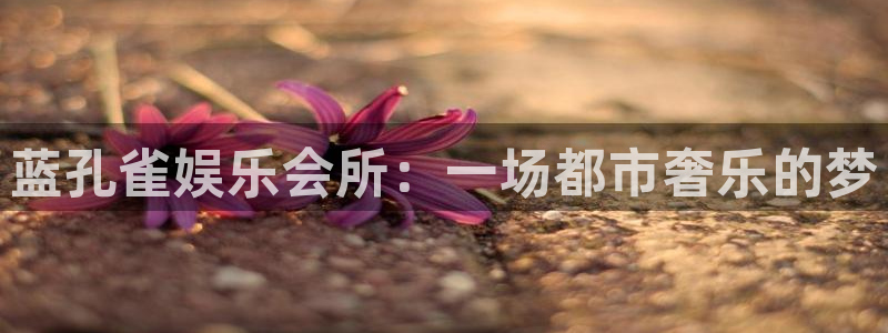 大满贯体育凯捷平台招商