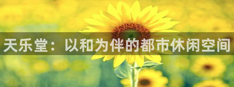 大满贯体育论坛：天乐堂：以和为伴的都市休闲空间
